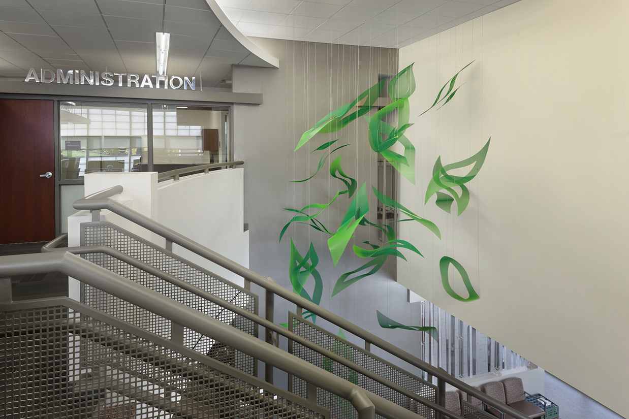 Talley Fisher's Emerald Cascade healthcare art suspended sculpture in Sam Houston State University, Student Health & Counseling Center
