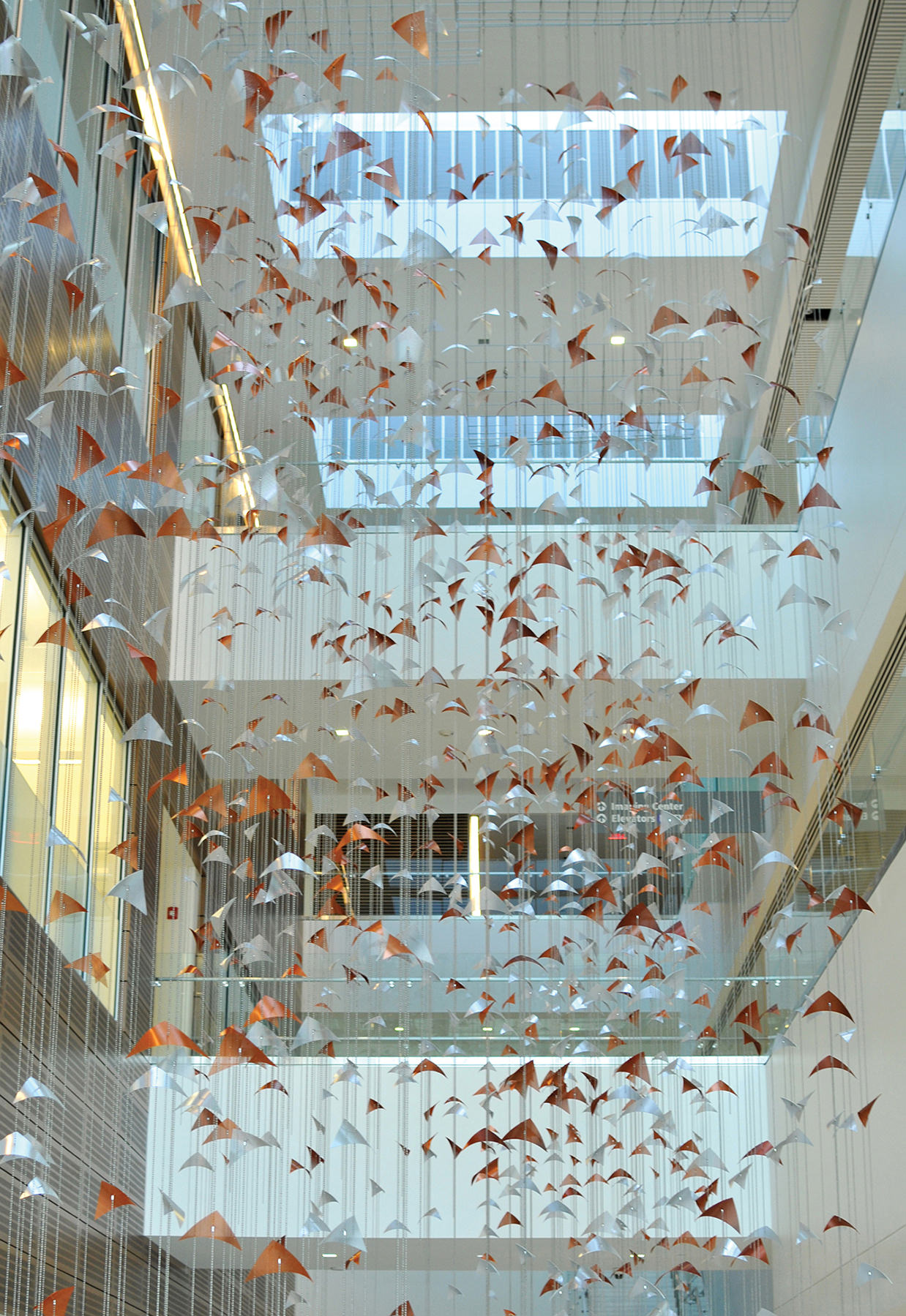 Copper and silver elements of Primordium by Talley Fisher, Clinical and Translational Research Center, University of Buffalo
